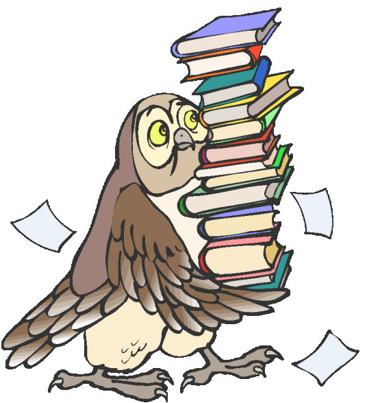 owl with books